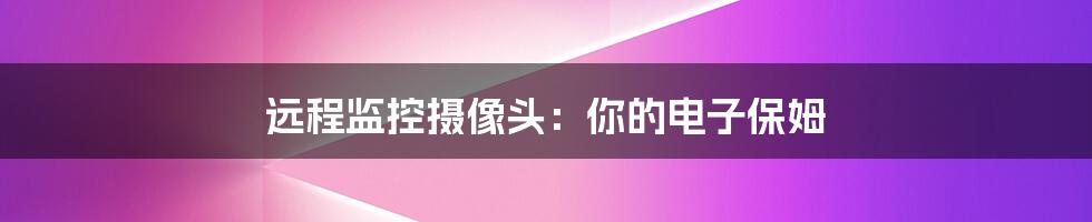 远程监控摄像头:你的电子保姆