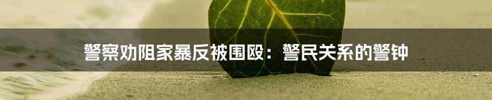 警察劝阻家暴反被围殴：警民关系的警钟