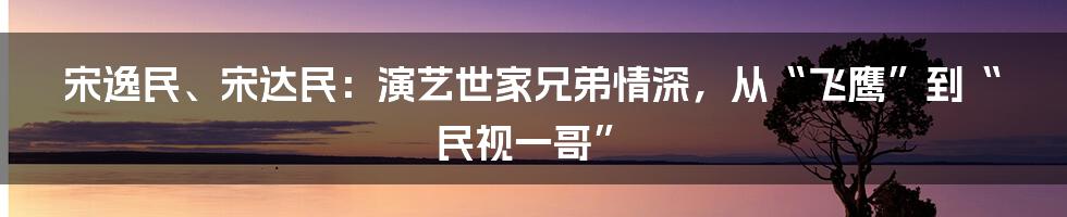 宋逸民、宋达民：演艺世家兄弟情深，从“飞鹰”到“民视一哥”