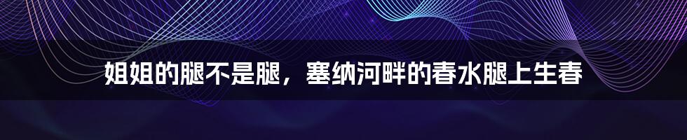 姐姐的腿不是腿,塞纳河畔的春水腿上生春