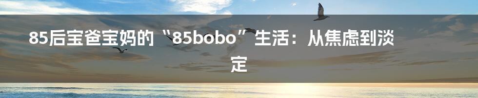 85后宝爸宝妈的“85bobo”生活:从焦虑到淡定