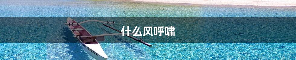 什么风呼啸