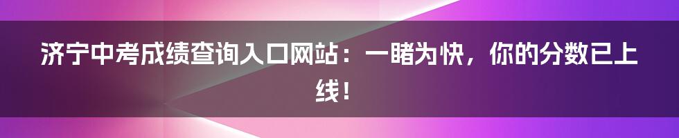 济宁中考成绩查询入口网站:一睹为快,你的分数已上线!