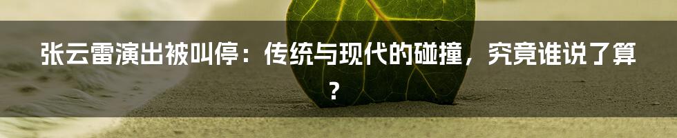 张云雷演出被叫停:传统与现代的碰撞,究竟谁说了算?