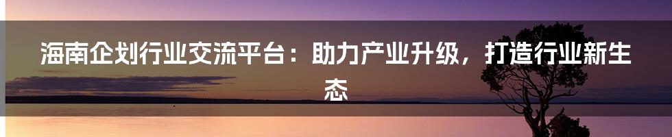 海南企划行业交流平台:助力产业升级,打造行业新生态