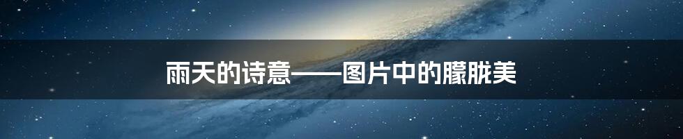 雨天的诗意——图片中的朦胧美