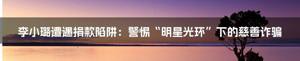 李小璐遭遇捐款陷阱:警惕“明星光环”下的慈善诈骗