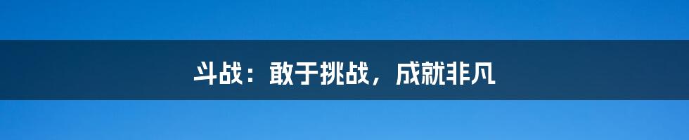 斗战:敢于挑战,成就非凡