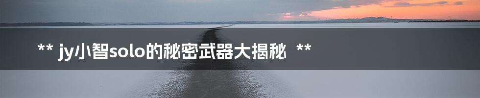 **
jy小智solo的秘密武器大揭秘
**