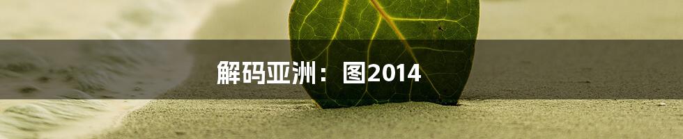 解码亚洲：图2014