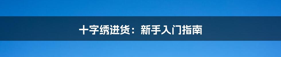 十字绣进货：新手入门指南