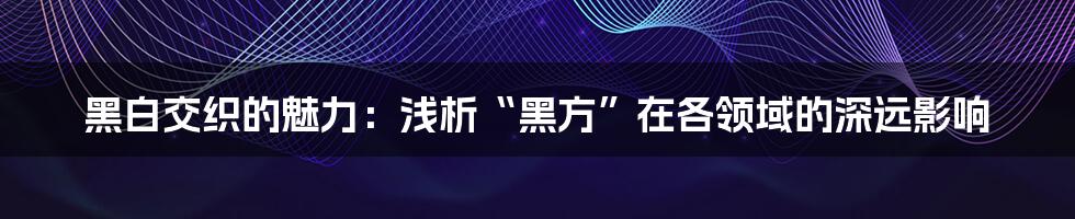 黑白交织的魅力：浅析“黑方”在各领域的深远影响