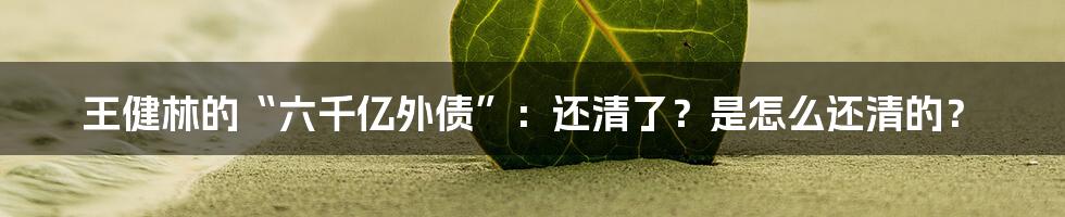 王健林的“六千亿外债”:还清了?是怎么还清的?