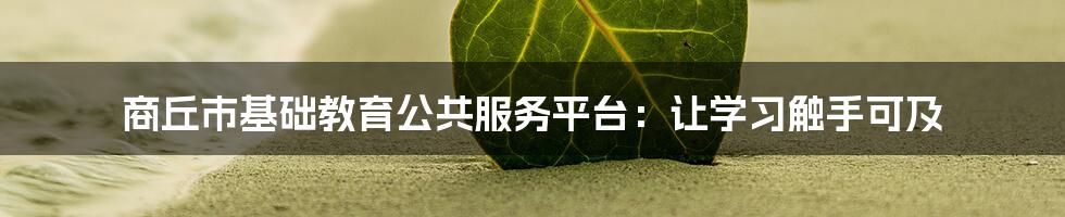 商丘市基础教育公共服务平台:让学习触手可及