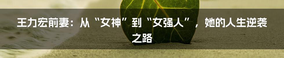 王力宏前妻：从“女神”到“女强人”，她的人生逆袭之路