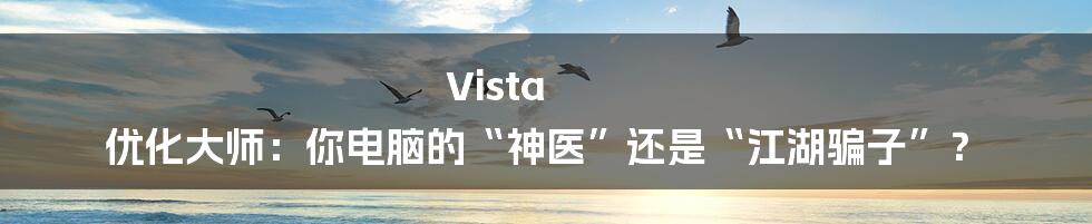 Vista 优化大师：你电脑的“神医”还是“江湖骗子”？