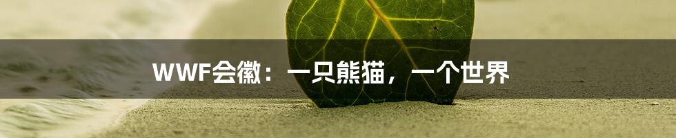 WWF会徽:一只熊猫,一个世界