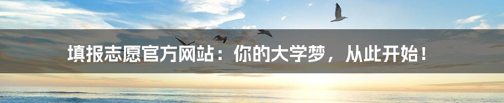 填报志愿官方网站:你的大学梦,从此开始!
