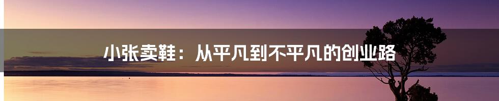 小张卖鞋:从平凡到不平凡的创业路