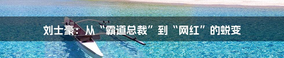 刘士豪：从“霸道总裁”到“网红”的蜕变