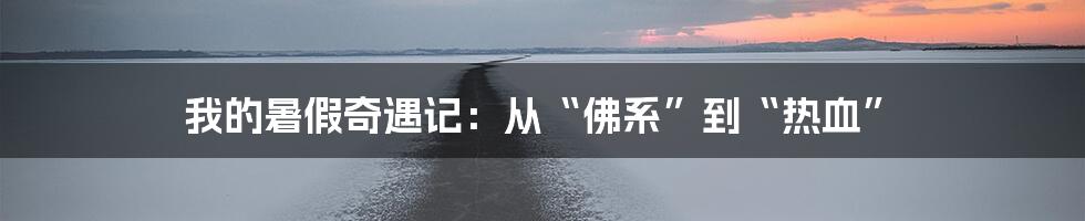 我的暑假奇遇记:从“佛系”到“热血”