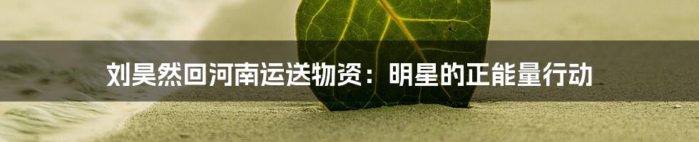 刘昊然回河南运送物资：明星的正能量行动