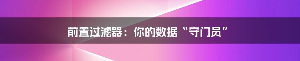 前置过滤器:你的数据“守门员”