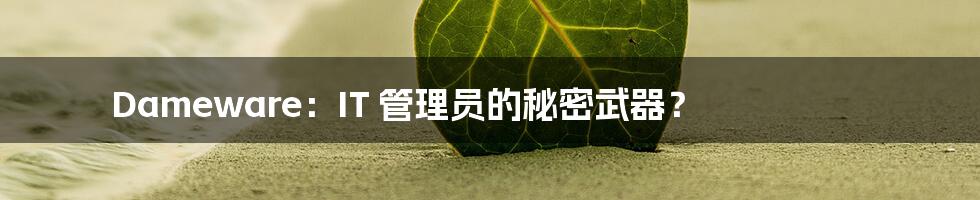 Dameware:IT 管理员的秘密武器?