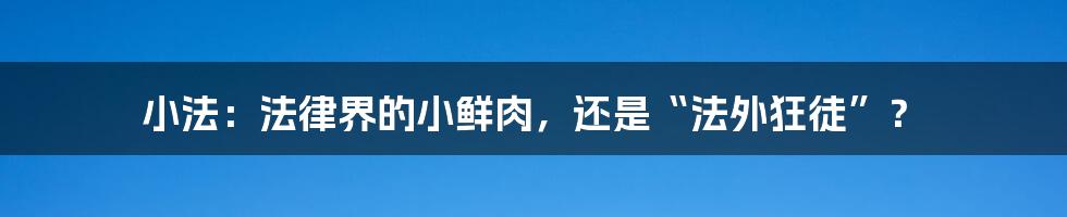 小法:法律界的小鲜肉,还是“法外狂徒”?