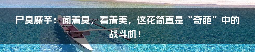 尸臭魔芋:闻着臭,看着美,这花简直是“奇葩”中的战斗机!