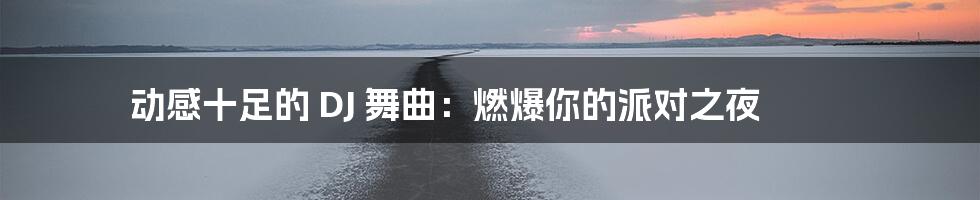动感十足的 DJ 舞曲：燃爆你的派对之夜
