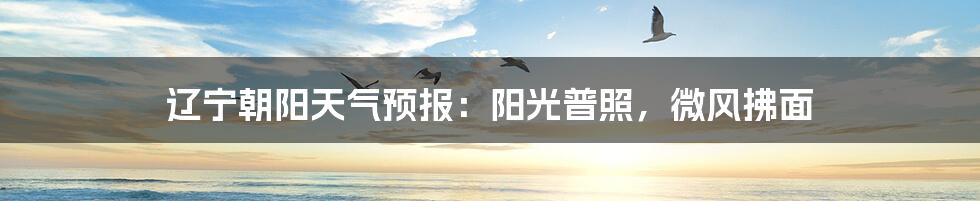 辽宁朝阳天气预报:阳光普照,微风拂面