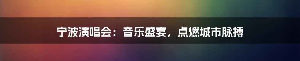 宁波演唱会:音乐盛宴,点燃城市脉搏