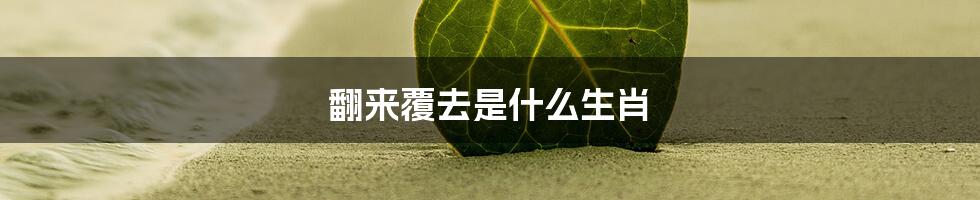 翻来覆去是什么生肖