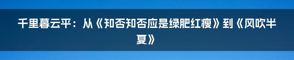千里暮云平:从《知否知否应是绿肥红瘦》到《风吹半夏》
