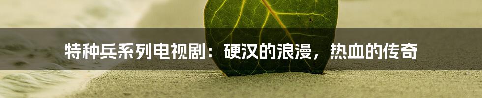 特种兵系列电视剧:硬汉的浪漫,热血的传奇