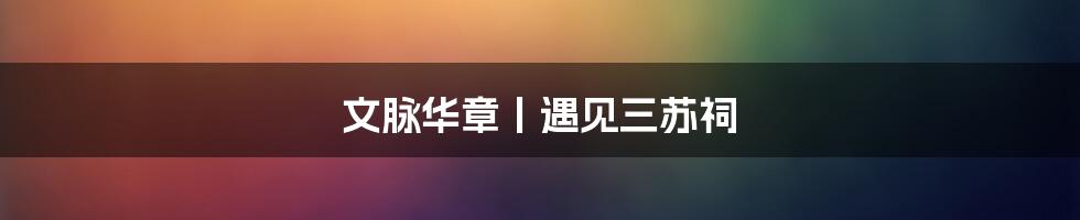 文脉华章丨遇见三苏祠