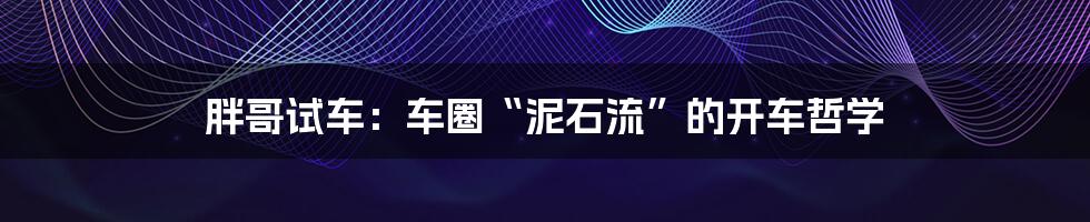 胖哥试车:车圈“泥石流”的开车哲学