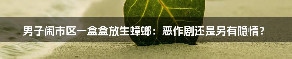 男子闹市区一盒盒放生蟑螂：恶作剧还是另有隐情？