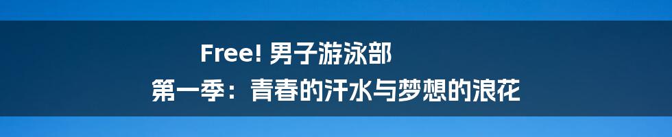 Free! 男子游泳部 第一季:青春的汗水与梦想的浪花