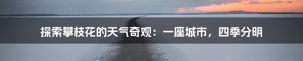 探索攀枝花的天气奇观:一座城市,四季分明