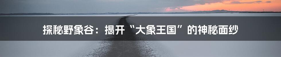 探秘野象谷:揭开“大象王国”的神秘面纱
