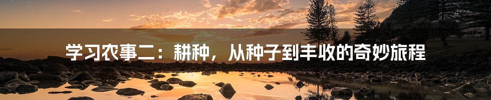 学习农事二:耕种,从种子到丰收的奇妙旅程