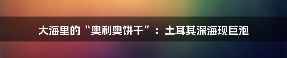 大海里的“奥利奥饼干”:土耳其深海现巨泡