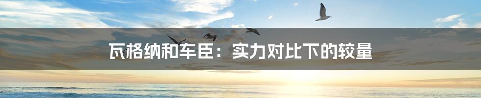 瓦格纳和车臣:实力对比下的较量