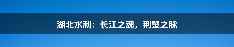 湖北水利:长江之魂,荆楚之脉