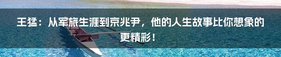 王猛:从军旅生涯到京兆尹,他的人生故事比你想象的更精彩!