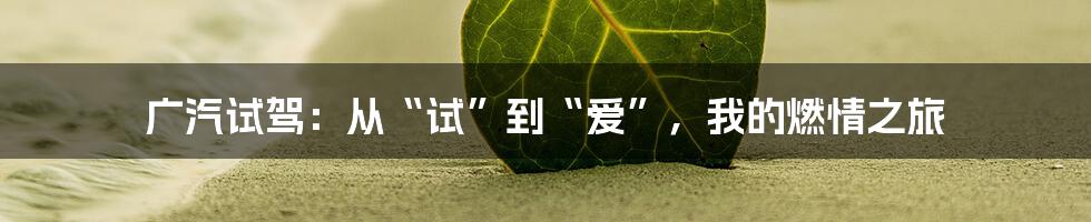 广汽试驾:从“试”到“爱”,我的燃情之旅