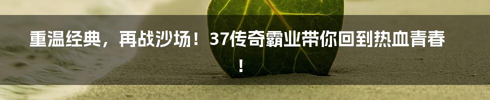 重温经典,再战沙场!37传奇霸业带你回到热血青春!