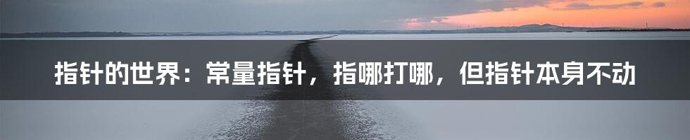 指针的世界:常量指针,指哪打哪,但指针本身不动
